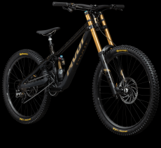 PIVOT PHOENIX PRO SAINT Black Gold