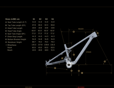 PIVOT PHOENIX PRO SAINT 