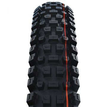 Schwalbe Albert Trail Pro Radial Evolution TLR