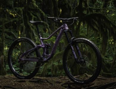 Devinci TROY Carbon 29