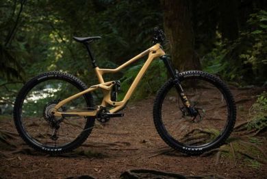 Devinci TROY Carbon 29