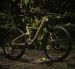 Devinci TROY Carbon 29