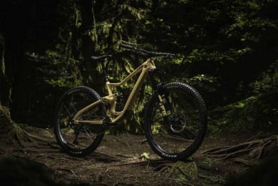 Devinci TROY Carbon 29